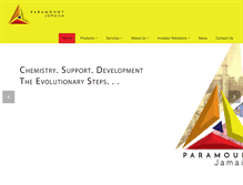 Tablet Screenshot of paramountjm.com